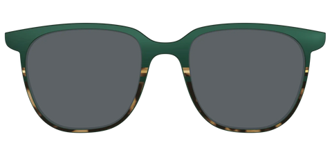 The Polarized Spruce Tortoise Sun Top