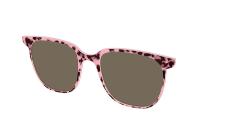 The Polarized True Love Tort Sun Top