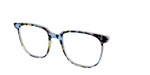 The Positano Tortoise