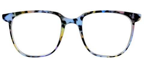 The Positano Tortoise