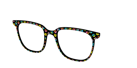 The Rainbow Paw Print