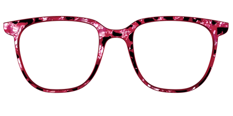 The Raspberry Pearl Tortoise