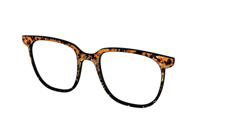 The Rustic Gold Leaf Tortoise