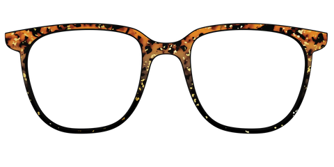 The Rustic Gold Leaf Tortoise