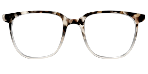 The Vanilla Latte Tortoise