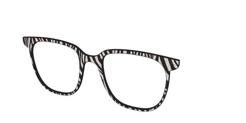 The Zebra Stripes