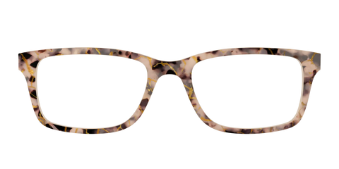 The Almond Tortoise with Gold Streaks