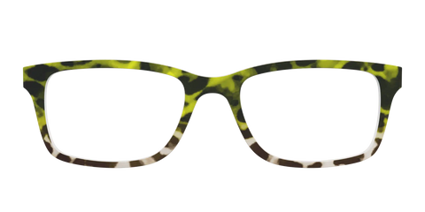 The Avocado to Ivory Tortoise