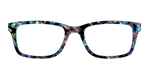 The Black Prismatic Pearl Tortoise