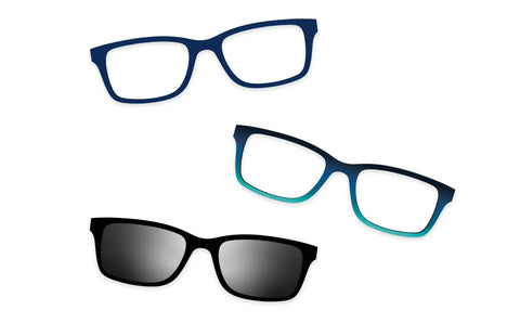 Blue Tortoise - Set