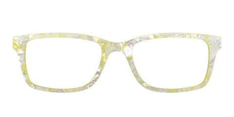 The Buttercup Pearl Tortoise