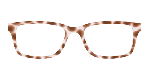 The Caffé Tortoise
