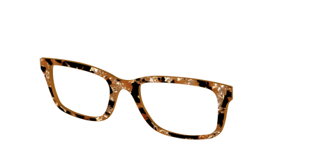 The Caramel Pearl Tortoise