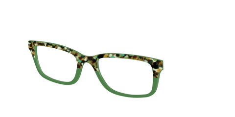 The Forest Tortoise Crystal Split