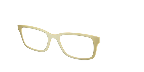 The Gold Mirror