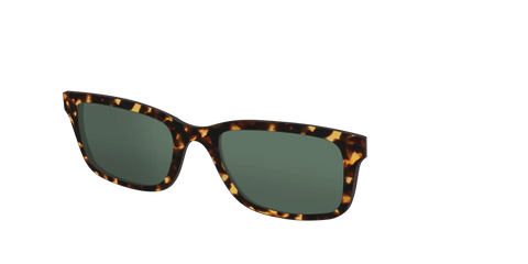 The Non-Polarized Green Tortoise Sun Top
