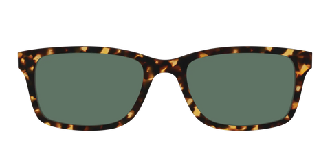 The Non-Polarized Green Tortoise Sun Top