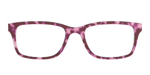 The Maroon Tortoise