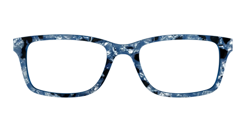 The Midnight Blue Pearl Tortoise