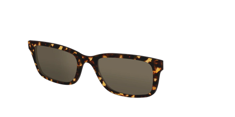 The Non-Polarized Tortoise Sun Top