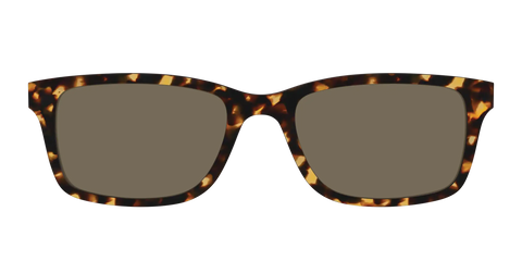 The Non-Polarized Tortoise Sun Top