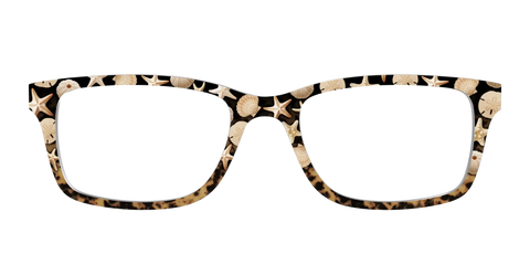 The Ocean Treasures Tortoise
