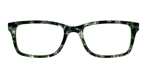 The Olive Pearl Tortoise