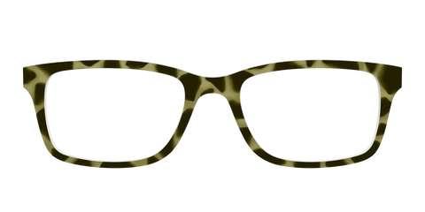 The Olive Tortoise