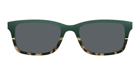 The Polarized Spruce Tortoise Sun Top