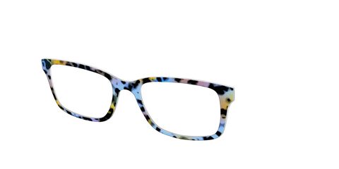 The Positano Tortoise
