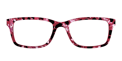 The Raspberry Pearl Tortoise