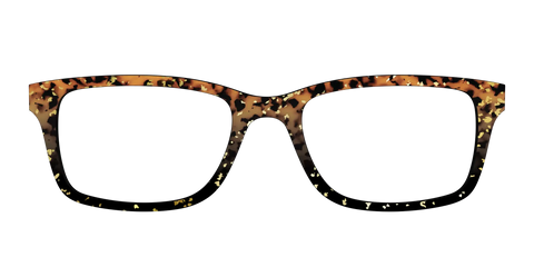 The Rustic Gold Leaf Tortoise