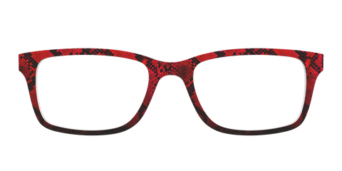 The Statement Snakeskin