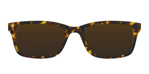 The Polarized Tortoise Sun Top