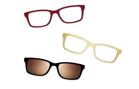 Tortoise - Set