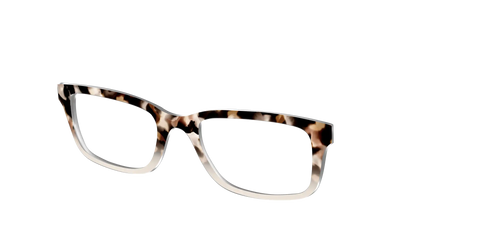The Vanilla Latte Tortoise