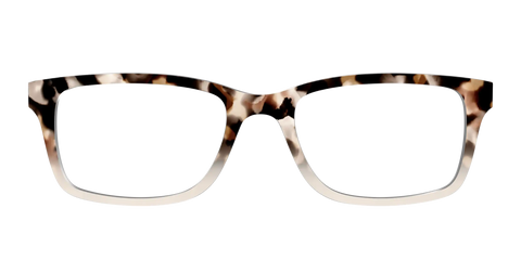 The Vanilla Latte Tortoise