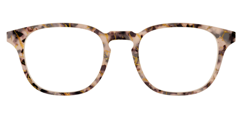 The Almond Tortoise with Gold Streaks