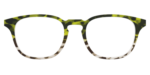 The Avocado to Ivory Tortoise