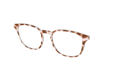 The Caffé Tortoise