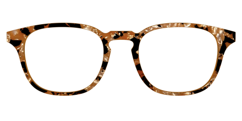 The Caramel Pearl Tortoise