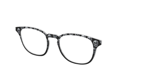 The Chrome Skulls