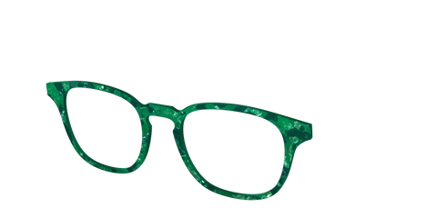 The Emerald Pearl Tortoise