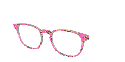 The Hot Pink Cheetahs