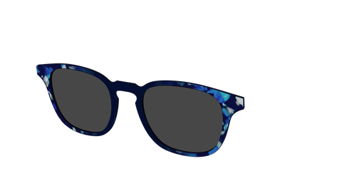 The Polarized Indigo Tortoise Sun Top