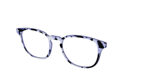 The Lilac Pearl Tortoise