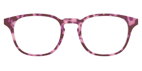 The Maroon Tortoise