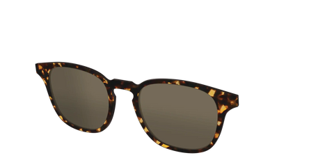 The Non-Polarized Tortoise Sun Top
