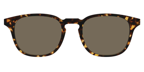 The Non-Polarized Tortoise Sun Top