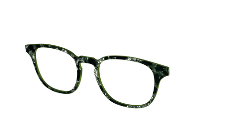 The Olive Pearl Tortoise